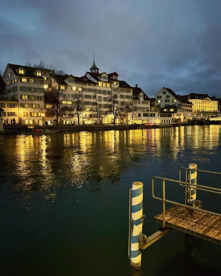 Lion Bb Swiss Apartment Zurich Exterior photo